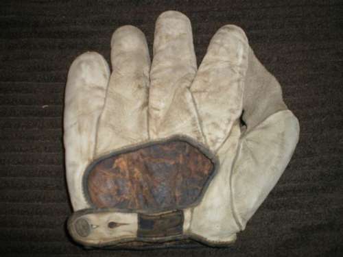 D&M Full Web White Back